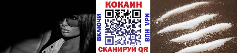 Купить где  Новосиль  COCAIN FishScale 
