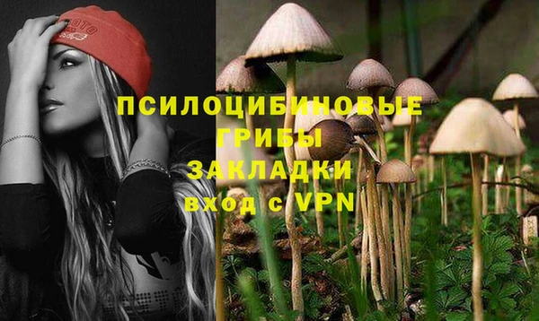 стафф Яровое