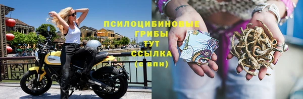 ПСИЛОЦИБИНОВЫЕ ГРИБЫ Янаул